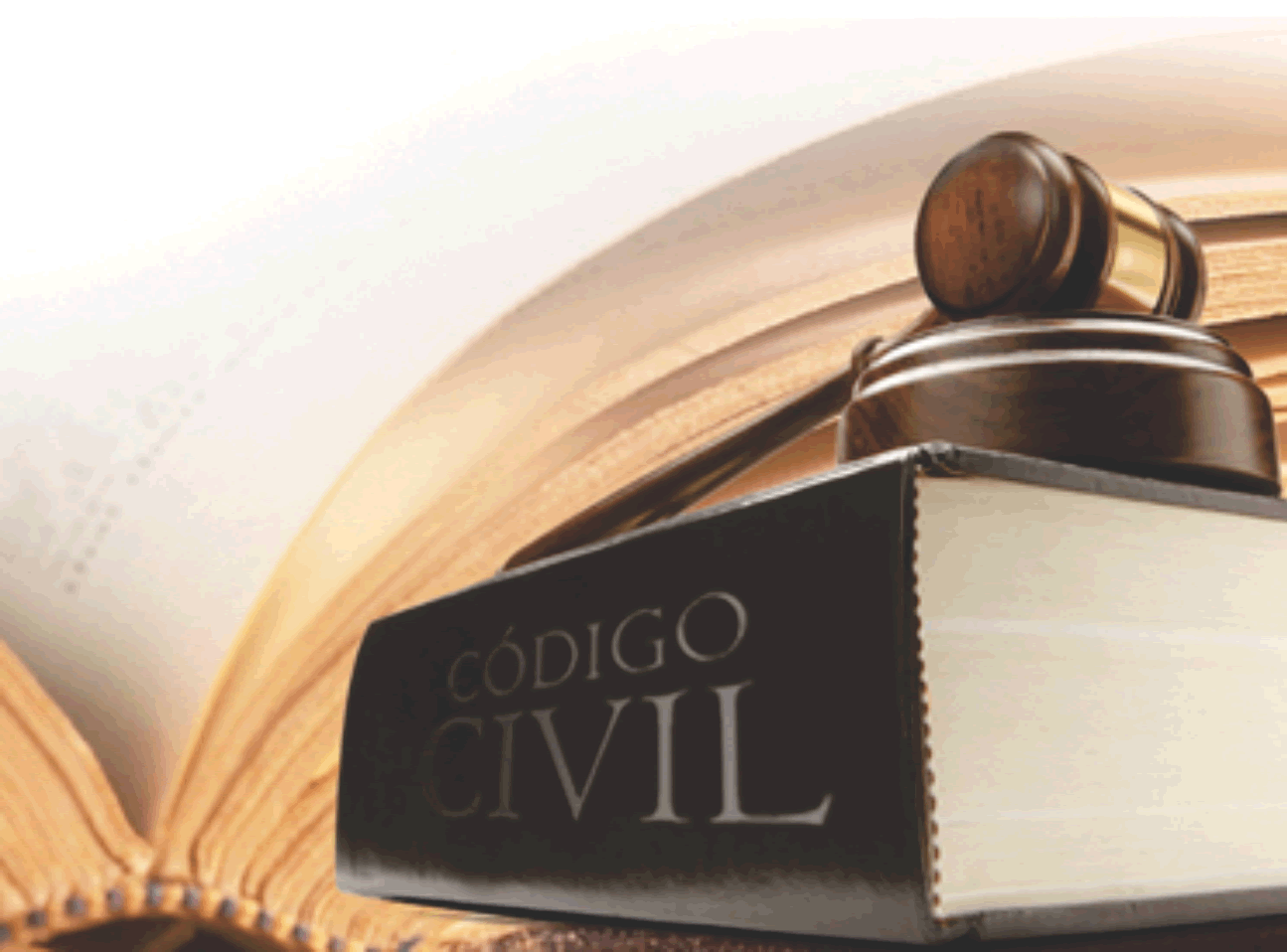 PUBLICAN GRUPO DE TRABAJO ENCARGADO DE MODIFICAR EL CÓDIGO CIVIL PUBLICAN GRUPO DE TRABAJO ENCARGADO DE MODIFICAR EL CÓDIGO CIVIL