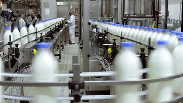 Laive y Gloria se enfrentan a DIGESA Laive y Gloria se enfrentan a DIGESA