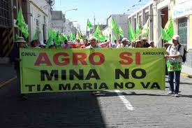 La necesidad de una Reforma de la Ley General de Minería